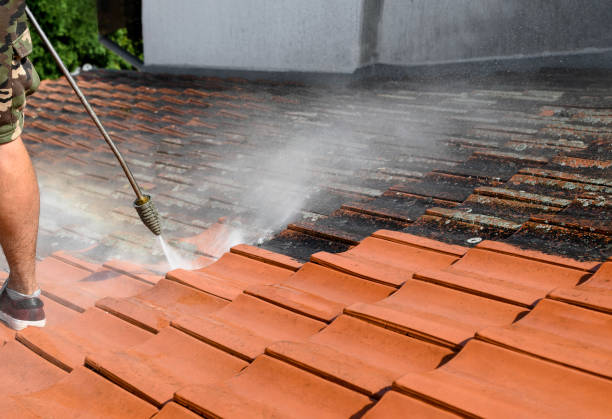 Best Roof Power Washing Services  in Lewiston, MN
