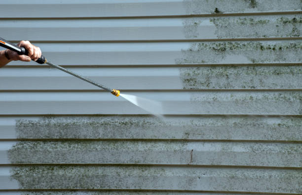 Best Fence Pressure Washing  in Lewiston, MN