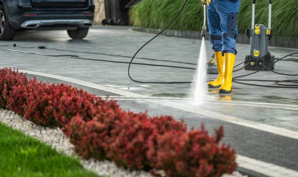 Best Pressure Washing Estimates  in Lewiston, MN