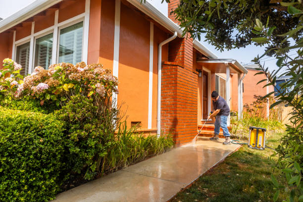 Best House Pressure Washing  in Lewiston, MN