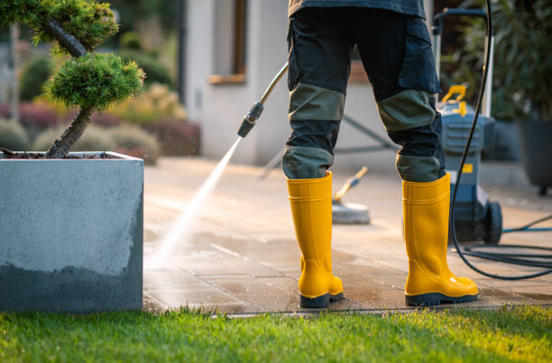 Best Exterior Home Cleaning  in Lewiston, MN